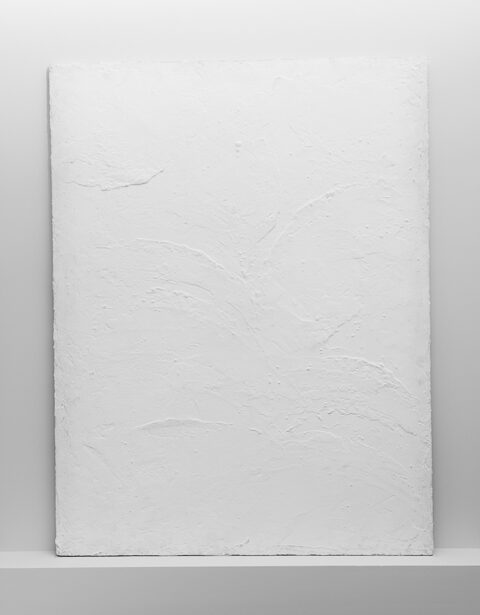 シックイ / ニュアンス