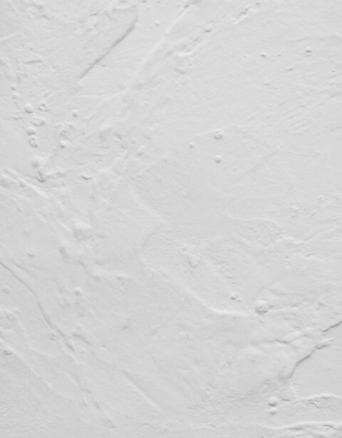 シックイ / ニュアンス