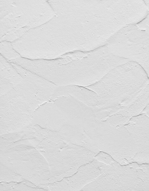 シックイ / ニュアンス