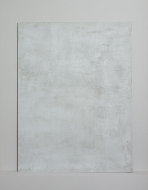 シックイ / ボカシ