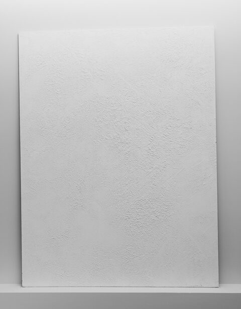 シックイ / ニュアンス