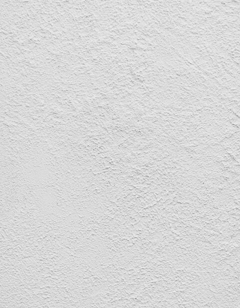 シックイ / ニュアンス