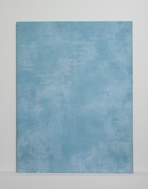 シックイ / ボカシペイント