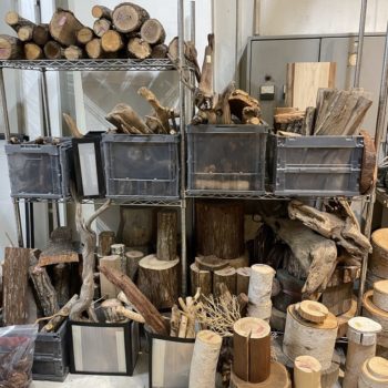 流木 / 枝 / 切り株　各種